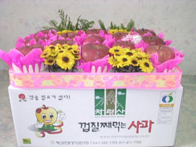 I.P.M친환경 아이사과10Kg32과전후/껍질째먹는사과